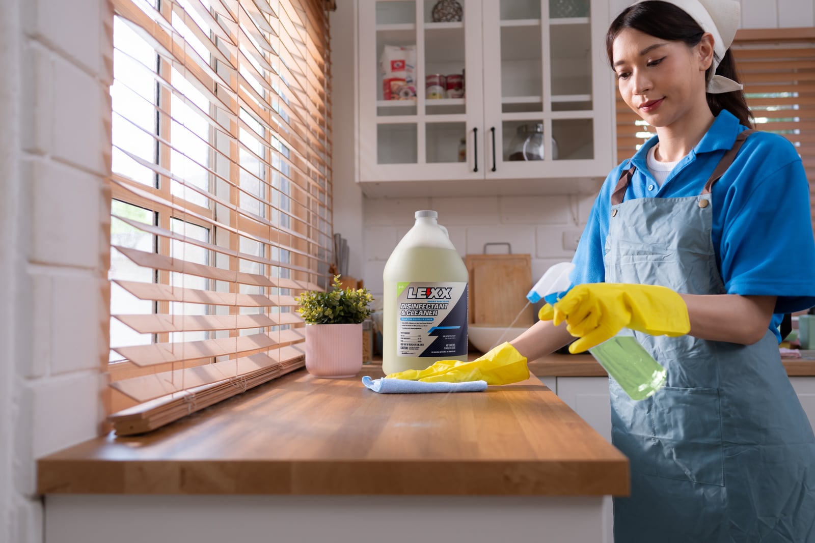Professional Cleaning Markets