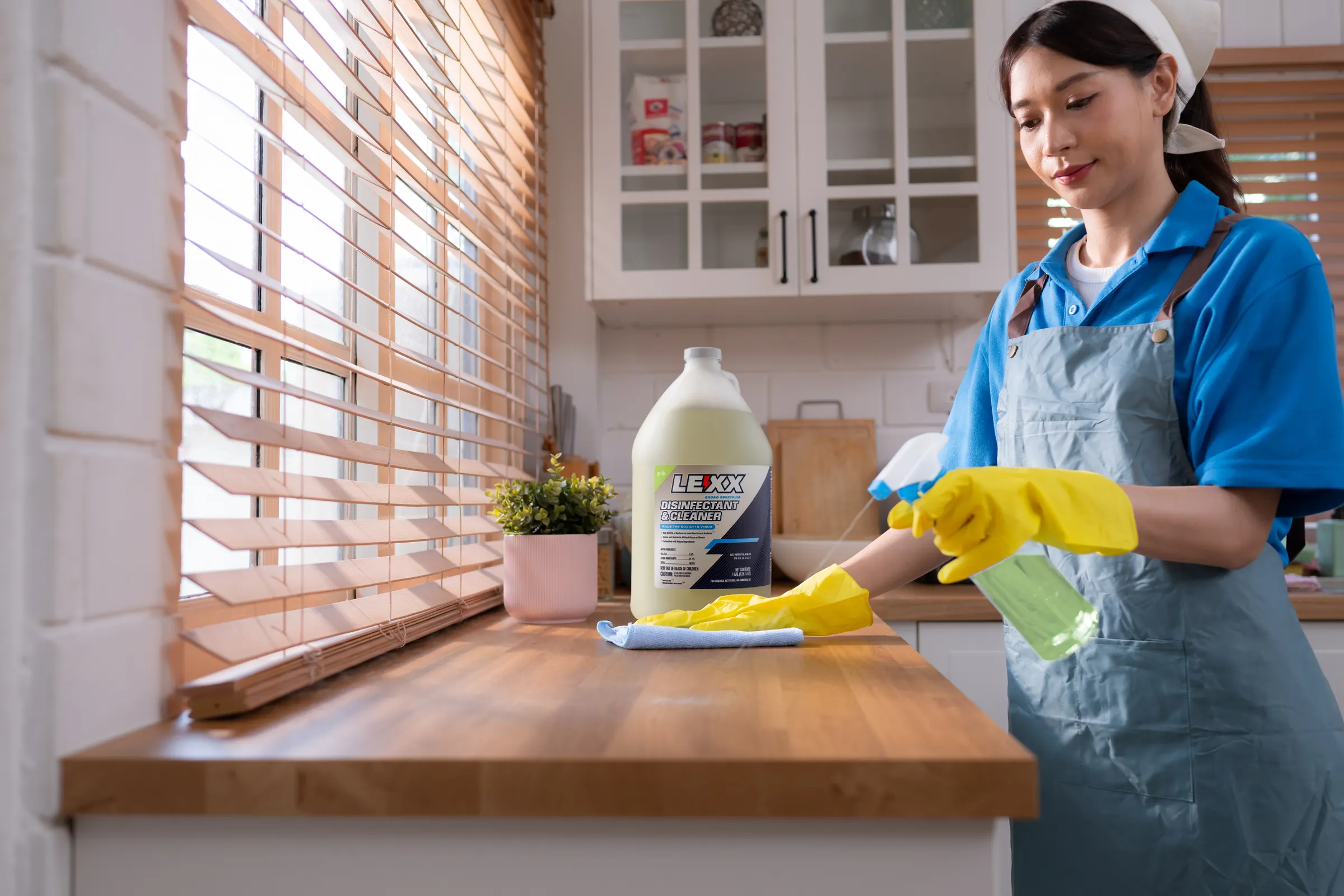 Professional Cleaning Markets